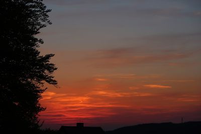 Silhouette tree against orange sky during sunset