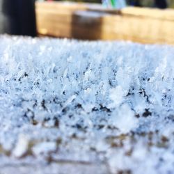 Close-up of frozen water