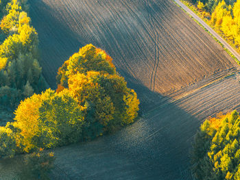 Scenic view of landscape