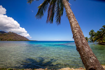 Scenic view of sea against blue sky