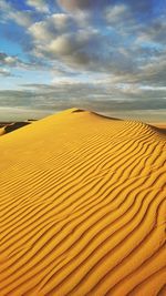 The beauty of the egyptian desert 