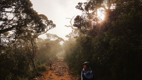 Rear view of people walking in forest