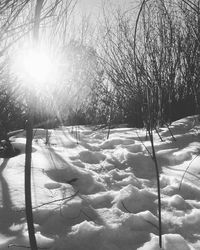 Scenic view of snow covered landscape