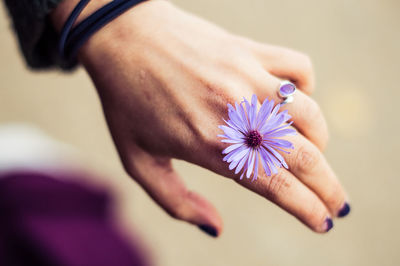 Cropped hand of woman holding purple flower