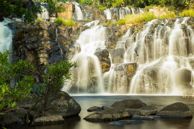 Low angle view of waterfall in forest