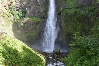 View of waterfall in forest