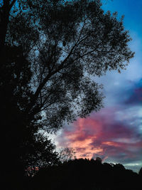 Low angle view of silhouette trees against sky at sunset