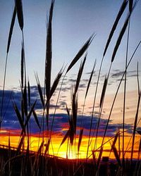 Scenic view of sea against sky at sunset