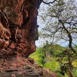 Scenic view of rock formation amidst trees against sky