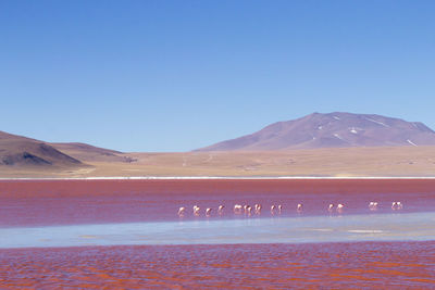 Scenic view of mountains against clear blue sky