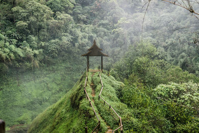 Scenic view of forest