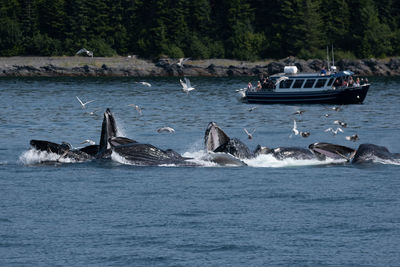 View of boats in sea