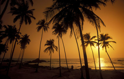 Silhouette palm trees on beach at sunset