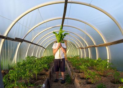 Boy standing in greenhouse, hiding his face under green leaves