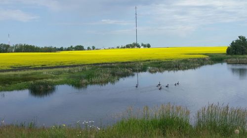 Scenic view of field against cloudy sky