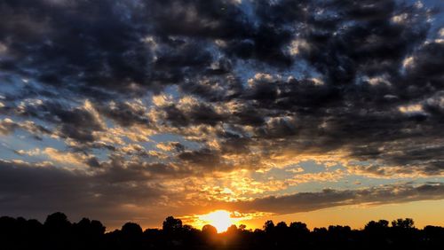 Silhouette of trees against dramatic sky