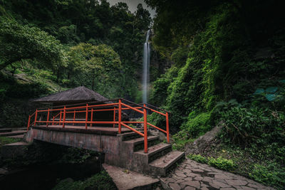 Scenic view of waterfall in forest