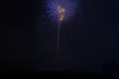 Low angle view of firework display at night