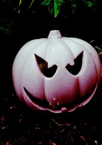 Close-up of pumpkin flower head