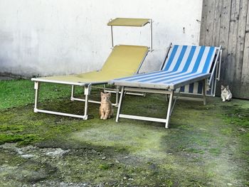 Abandoned chair on grass