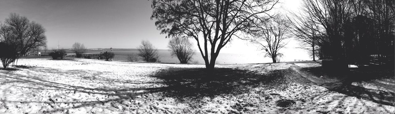 tree, tranquil scene, tranquility, landscape, snow, winter, bare tree, cold temperature, nature, clear sky, scenics, beauty in nature, field, sky, non-urban scene, branch, day, sunlight, outdoors, season