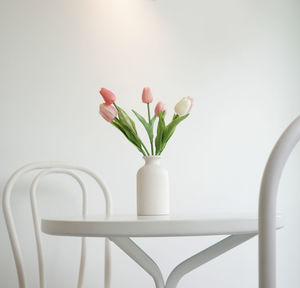 Close-up of flowers against white background