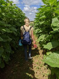 Rear view of woman walking in farm