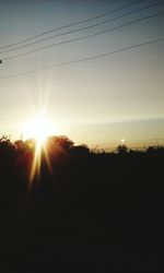 Silhouette of trees at sunset