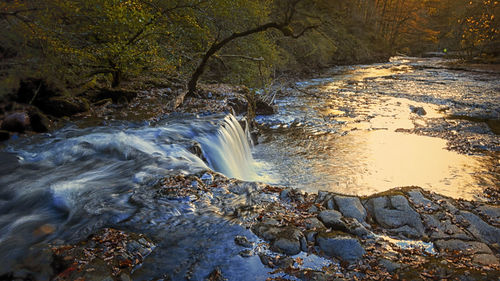 Scenic view of waterfall in forest