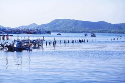 Sailboats moored in sea against clear sky