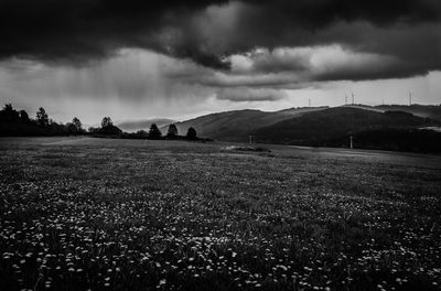 Scenic view of field against sky