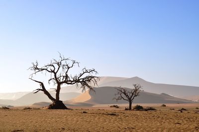 Scenic view of desert against clear blue sky