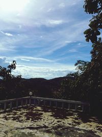 Trees against sky