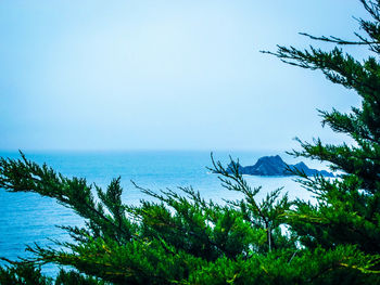 Scenic view of calm sea against clear sky