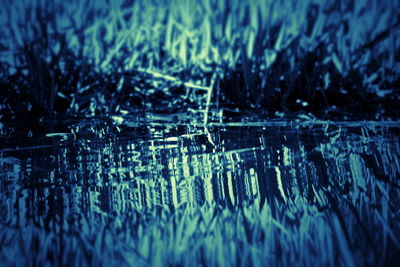 Full frame shot of wet plants in lake