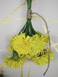 Close-up of yellow flowers