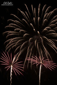 Low angle view of firework display against sky at night