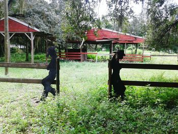 Bench on grassy field