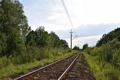 Railway tracks amidst trees against sky