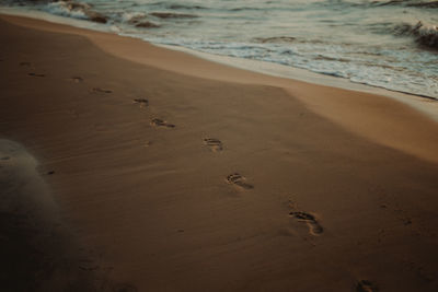 High angle view of footprints on beach