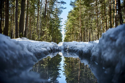 Scenic view of waterfall in forest during winter