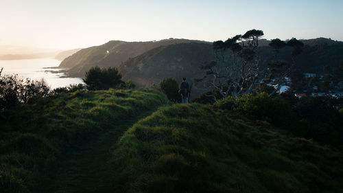 Scenic view of landscape against clear sky