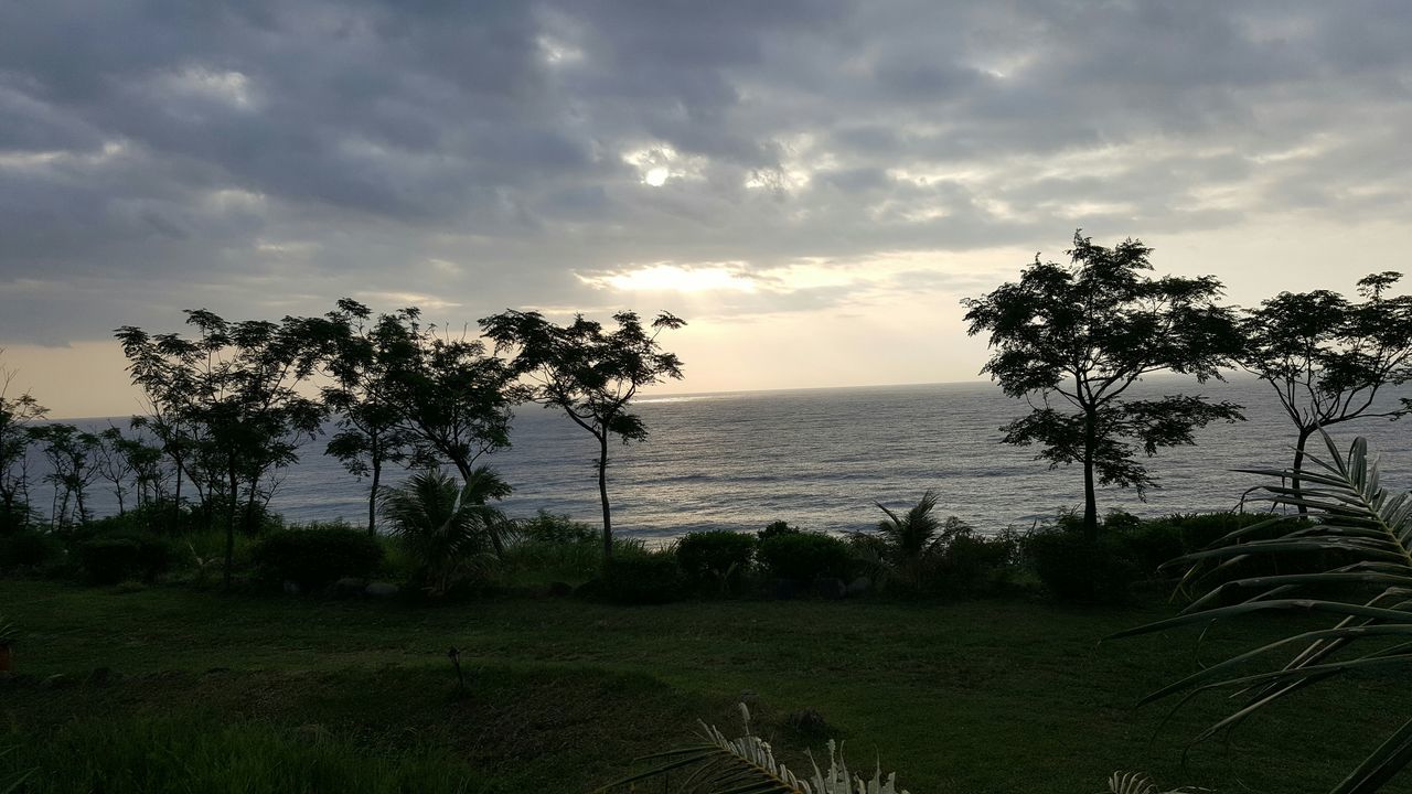 sky, tranquil scene, tranquility, tree, scenics, beauty in nature, horizon over water, sea, nature, cloud - sky, growth, landscape, grass, palm tree, water, cloud, idyllic, field, cloudy, sunset