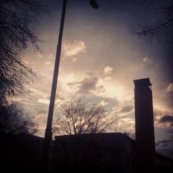 Low angle view of bare trees against sky