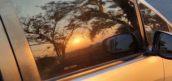 Reflection of trees on side-view mirror at sunset