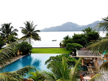 Palm trees by swimming pool against sky