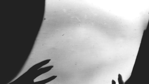 Close-up of cropped object