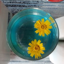High angle view of yellow flower in glass container on table