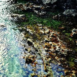High angle view of water flowing through rocks