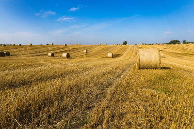 Agriculture field after harvest with large bales of hay in a wheat field